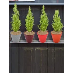 Kuber Industries Orange 4 Pcs Brick Flower Planters-picture-21