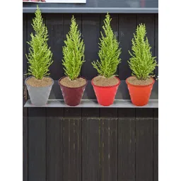 Kuber Industries Orange & Brown 3 Pcs  Brick Flower Planters-picture-31