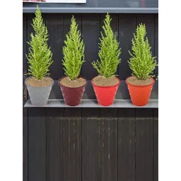 Kuber Industries Orange & Golden 2 Pcs Brick Planters-picture-42