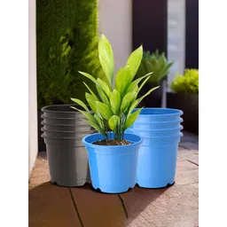 Kuber Industries Pack Of 10 Blue & Black Planters-picture-27
