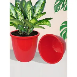 Kuber Industries Pack of 6 Flower Planter Pots for Garden & Balcony-picture-34