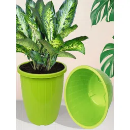 Kuber Industries Pack of 6 Flower Planter Pots for Garden & Balcony-picture-35