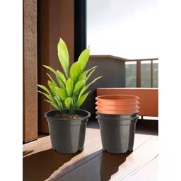 Kuber Industries Pack Of 6 Orange-Colored & Black Planters-picture-37