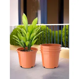 Kuber Industries Pack Of 6 Orange Planters-picture-39