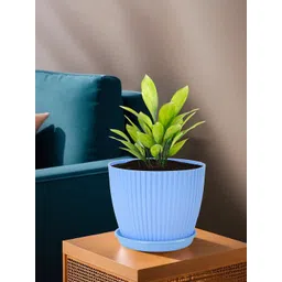 Kuber Industries Pink & Blue 8 Pieces Textured Flower Pots with Tray-picture-15