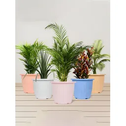 Kuber Industries Pink & Peach 4 Pieces Lightweight Planters-picture-30