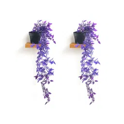 Kuber Industries Purple 2 Pieces Artificial Plant With Pot-picture-21