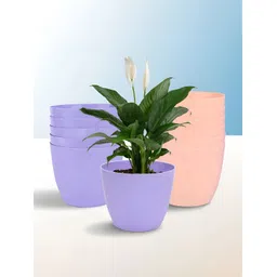 Kuber Industries Purple & Peach 12 Pieces Marble Cool Planters-picture-15