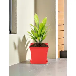 Kuber Industries Red and Green Textured Flower Planters With Tray-image-2