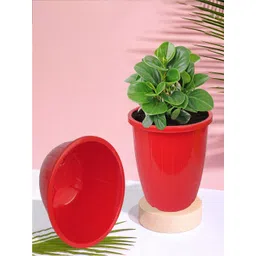 Kuber Industries Red & Yellow 6 Pieces Balcony Textured Planters-picture-25