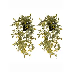 Kuber Industries Set of 2 Green Artificial Plants With Pot-picture-42