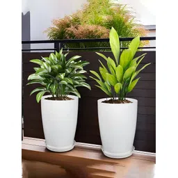 Kuber Industries Set Of 2 White Flower Planters-picture-19