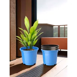 Kuber Industries Set Of 4 Black & Blue Planter With Pot-picture-35