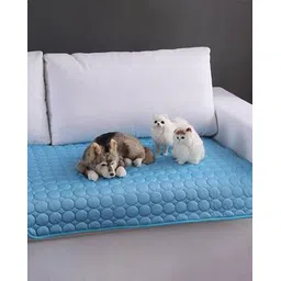 kuber industries Textured Pet Bed Room-picture-23