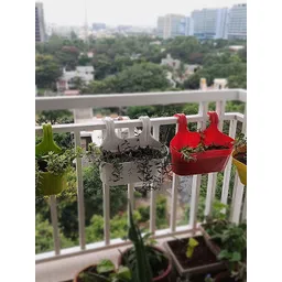 Kuber Industries White 2 Pcs Double Hook Planters-picture-14