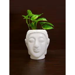Kuber Industries White 3 Pcs Buddha Flower Planters-picture-17