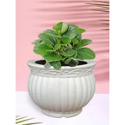 Kuber Industries White 5 Pieces Textured Planters-picture-35