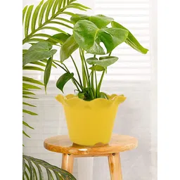 Kuber Industries White & Blue 4 Pcs Blossom Flower Pots-picture-22