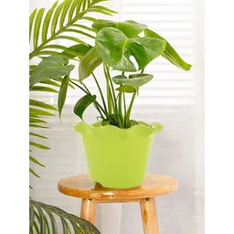 Kuber Industries White & Green 2 Pieces Blossom Planters-picture-18