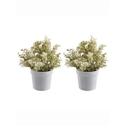 Kuber Industries White & Green 2 Pieces Succulent Artificial Plants With Pots-picture-21