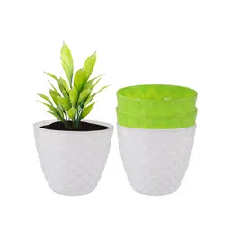 Kuber Industries White & Green 4 Pieces Diamond Pattern Durable Planters-picture-45