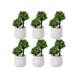 Kuber Industries White & Green 6 Pieces Artificial Plants With Pot-picture-27