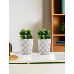 Kuber Industries White & Green 6 Pieces Succulent Artificial Plant With Pot-picture-34