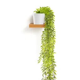 Kuber Industries White & Green Artificial Plants With Pot-picture-38