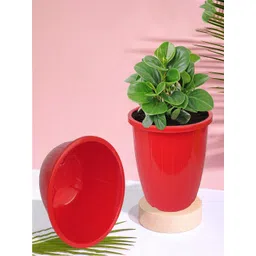 Kuber Industries White & Red 6-Pcs Textured Planters Pots-picture-22