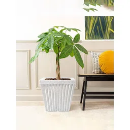 Kuber Industries White Textured Roto Mould Pihu Splash Flower Planters-picture-41