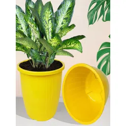 Kuber Industries Yellow 6 Pieces Indoor Planters-picture-39
