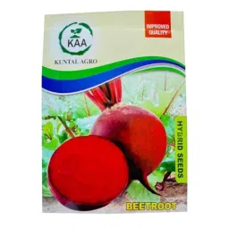 Kuntal Agro 20g Beetroot Hybrid Vegetable Seeds-picture-37
