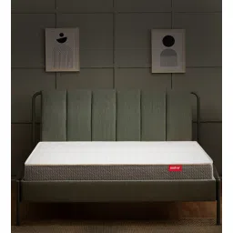 Spinel Ortho Bonded Foam Orthopedic 6-Inch Mattress In Single Size-image-38