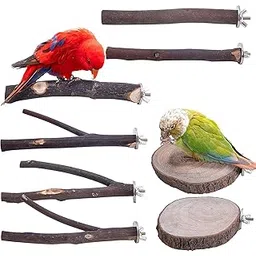 KUTKUT 8 PCS Natural Wood Bird Perch Stand-Wooden Parrot, Perch Stand-Perch Platform Cage Accessories for Parrotlets Budgies Cockatiels Parakeets Lovebirds-image-9