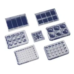 Lab Plus Multi Dish for Suspension Cells, LP-1764 (Pack of 75) image 1