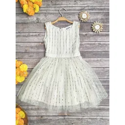 LABEL KANUPRIYA Net Fit & Flare Dress-picture-16