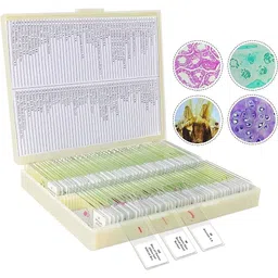 labgenius Lab100 Microscope Slide Box-picture-22