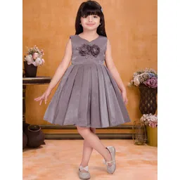 Lagorii Shimmer Party Wear Frock With 3D Floral Accent-picture-53