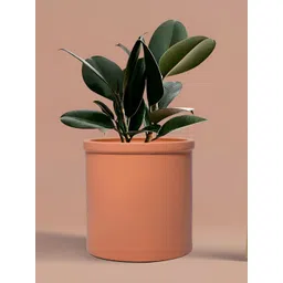 LASAKI Brown Ceramic Planter-picture-36