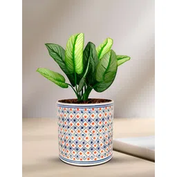 LASAKI White & Blue Textured Ceramic Planter-picture-26