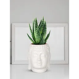 LASAKI White Buddha Textured Ceramic Planter-picture-25