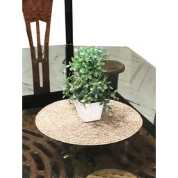 LaVichitra Round Pack of 1 Table Placemat-image-9