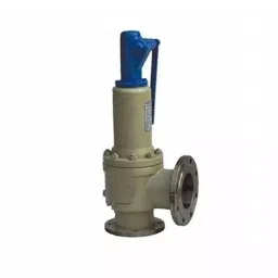 Leader 1 inch, 25 mm G Cast Steel Hi-Lift Safety Valve, BM 009-picture-24