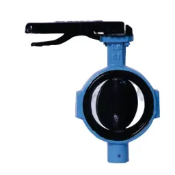 Leader 2-1/2 inch, 65 mm B Cast Iron Butterfly Valve, CI 091-picture-24