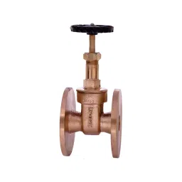 Leader 2 Inch, 50 mm Gun Metal Wheel Operated Gate Valve IS 010-picture-26