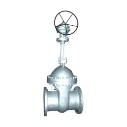 Leader 3 Inch, 80 mm Cast Carbon Steel Wheel Operated Gate Valve CCS 003-picture-34