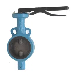 Leader 3 Inch, 80 mm Cast Iron Butterfly Valve CI 027-picture-36