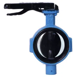 Leader 3 Inch, 80 mm Cast Iron Butterfly Valve CI 061A-picture-37