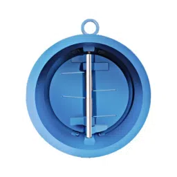 Leader 3 inch, 80 mm Ductile Iron Dual Plate Check Valve, DI 083-picture-13