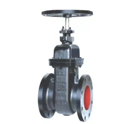 Leader 3 inch, 80 mm Ductile Iron Suice Valve, DI 043-picture-14